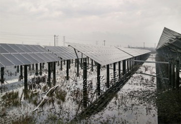 湖北長興中節(jié)能湖州光伏發(fā)電+種植項目拍攝圖