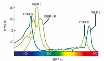 裕鑫隆昌